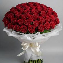 Букет 101 Красная роза Блэк Мэджик в Ясенках