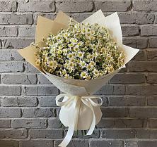 Букет цветов из:  Ромашки в Ясенках