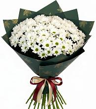 Букет цветов из:  Хризантемы #REPLACE_PRED# Ясенках