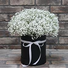 Цветочная композиция из Гипсофила в шляпной коробке в Ясенках