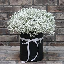 Цветочная композиция из Гипсофила в шляпной коробке в Ясенках