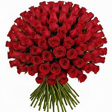 Букет Красные розы Чери Лав в Ясенках