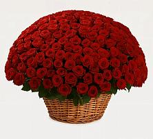 Премиум букет из: Розы в Ясенках