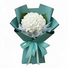 Букет цветов из:  Гортензия #REPLACE_PRED# Ясенках